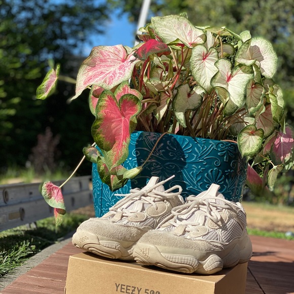 Yeezy 500 Blush - Picture 6 of 6